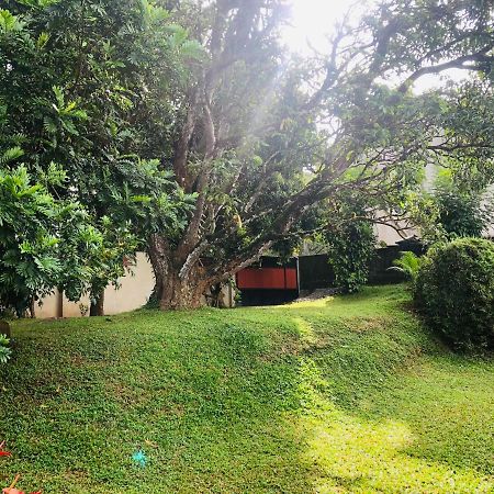 47 Alfred House - Free Pickup From Kandy City Dış mekan fotoğraf