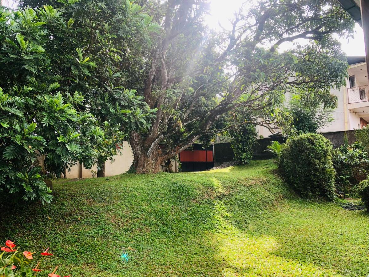 47 Alfred House - Free Pickup From Kandy City Dış mekan fotoğraf